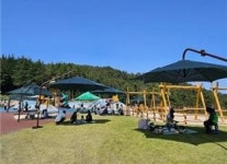 [위클리오늘] 부산 동구 초대형 숲속 놀이터 수정산꿈자람터인기... 개장 반년만에 1만9천여명 방문
