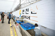 [위클리오늘] 연천군 민·관·군 함께 군부대 담장 새롭게 단장