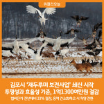 개미인력김포통진점 | [위클리오늘] 민선8기 김포시, '재두루미 보전사업' 쇄신 시작
