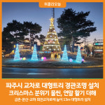 [위클리오늘] 파주시 주요 교차로 대형트리, 따뜻한 연말 분위기 조성