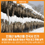 [위클리오늘] 인기만점 인제산 농특산품, 전국서 인기