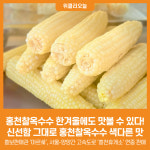 [위클리오늘] 홍천찰옥수수, 한겨울에도 맛볼 수 있다