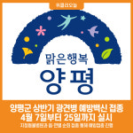 [위클리오늘] 양평군 상반기 광견병 예방백신 접종 실시