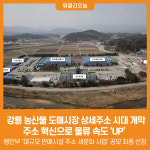 [위클리오늘] 강릉 농산물 도매시장, 내 점포 바로 찾는다