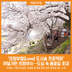 [위클리오늘] [기획] 의정부시, 어딜가든 의정부路…도심 속 봄꽃길로 초대