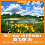 [위클리오늘] 강원도 4월 지질·생태명소 영월 청령포 선정