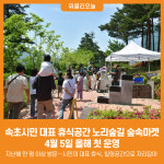 [위클리오늘] 속초시민 대표 휴식공간 노리숲길 숲속마켓, 4월 5일 올해 첫 운영