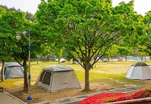 [위클리오늘] 영천시, 야영장 안전·위생·화재 안전성 확보 4개소 캠핑장 선정