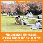 [위클리오늘] 하남시 미사경정공원·호수공원, 겹벚꽃과 튤립으로 물든 도심 속 봄 명소