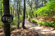 [위클리오늘] [기획] 5월 가정의 달, 가족愛 물들다…의정부 봄길에서 만나는 자연‧문화 소풍