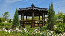 [위클리오늘] 구리시, 유채꽃 축제 준비 착착! 기반 조성 완료