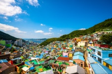 [위클리오늘] 사하구 감천문화마을, 골목마다 예술이 흐른다… 한국관광 100선 6연속 쾌거