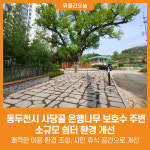[위클리오늘] 동두천시, 사당골 은행나무 보호수 주변 소규모 쉼터 환경 개선