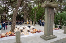 [위클리오늘] 사하구, 제433주기 윤흥신 공 향사 개최