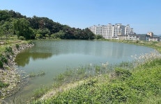 [위클리오늘] 청도군, 화양읍 범곡리 송전저수지...올해 내 황토 맨발걷기길 준공