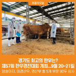 [위클리오늘] 경기도 최고의 한우는? 도, 제57회 한우경진대회 개최