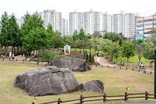[위클리오늘] 오산 오! 해피 장미 빛 축제 개막... 도심 속 장미 정원에 시민 발길