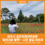 [위클리오늘] 여주시, 금은모래강변공원 꽃양귀비 활짝