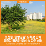 [위클리오늘] 포천동 '왕방공원' 유채꽃 만개…도심 속 제주 풍경 완성