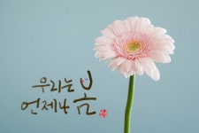 [위클리오늘] 디지털 손글씨로 표현한 마음, 여주시에서 꽃피다