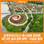 [위클리오늘] 김포한강신도시 호수공원 장미원, 장미꽃 만개