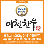 [위클리오늘] 임금님표 이천한우의 저력, 슈퍼한우 2두 출하