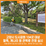 [위클리오늘] 고양시, 일산도시공원 철쭉, 개나리 등 관목류 전정 실시