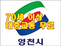 [위클리오늘] 영천시, 7월 1일부터 70세 이상 대중교통 무료...행정복지센터 교통카드 발급
