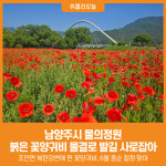 [위클리오늘] 남양주시 물의정원, 붉은 꽃양귀비 물결로 시민 발길 사로잡아