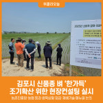 [위클리오늘] 김포시, 신품종 벼 한가득 조기확산 위한 현장컨설팅 실시
