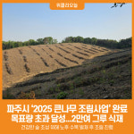 [위클리오늘] 파주시, 2025년 큰나무 조림사업 완료…목표량 초과 달성