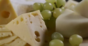 [위클리오늘] 경기도 `저지` 전용1호 목장 탄생....신품종 젖소 육성 위한 사육기반 조성