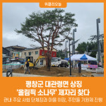 [위클리오늘] 평창군 대관령면 상징 올림픽 소나무 제자리 찾다