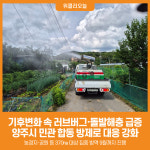 [위클리오늘] 기후변화 속 러브버그·돌발해충 급증… 양주시, 민관 합동 방제로 대응 강화