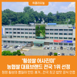 [위클리오늘] 횡성쌀 어사진미, 농협쌀 대표브랜드 전국 1위 선정