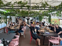 [위클리오늘] 함평교육지원청, Wee센터 맘-품지원단 문화체험 진행