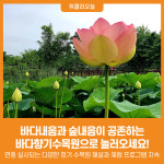 [위클리오늘] 바다내음과 숲내음이 공존하는 바다향기수목원으로 놀러오세요