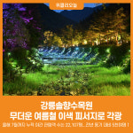 [위클리오늘] 강릉솔향수목원, 야간 이색 피서지로 인기