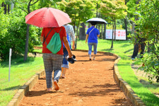 [위클리오늘] 속초 청초호유원지 맨발걷기길 준공…웰니스 관광도시 도약 본격화