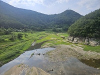 [위클리오늘] 강릉시, 가뭄 단기 대책으로 도마천 하상정비 시행