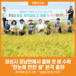 [위클리오늘] 화성시, 정남면에서 올해 첫 벼 수확…한눈에 반한 쌀 본격 출하