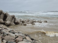 [위클리오늘] 이지영 강원도의원, 고성 오호항 안전시설 확충 위한 간담회 개최