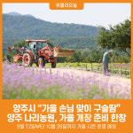 [위클리오늘] [포토] 양주시 나리공원, 가을 손님 맞이 구슬땀