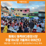 [위클리오늘] 동해시, 동쪽바다중앙시장 주말 야시장 가을까지 이어간다