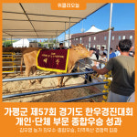 [위클리오늘] 가평군, 경기도 한우경진대회 개인‧단체 종합우승