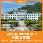 DMZ썬인팜디엠지 | [위클리오늘] 강원 디엠지(DMZ)에서 만나는 특별한 힐링 여행