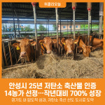 [위클리오늘] 안성시, 25년 저탄소 축산물 인증 14농가 선정