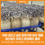 [위클리오늘] 커피 내리고 남은 찌꺼기로 버섯 재배, 생산비도 아끼고 환경에도 좋아