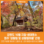 [위클리오늘] 강원도 10월 지질·생태명소, 원주 성황림 및 성황림마을 선정