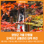 [위클리오늘] 양양군, 가을 단풍철 오색지구 교통관리 대책 추진